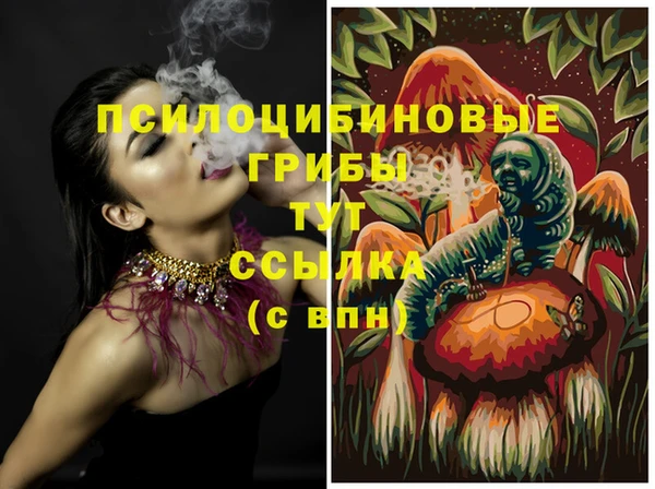 мет Нефтегорск