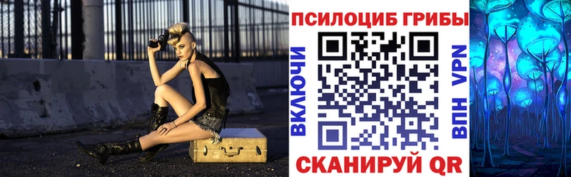 что такое   Новое Девяткино  Галлюциногенные грибы Psilocybe 